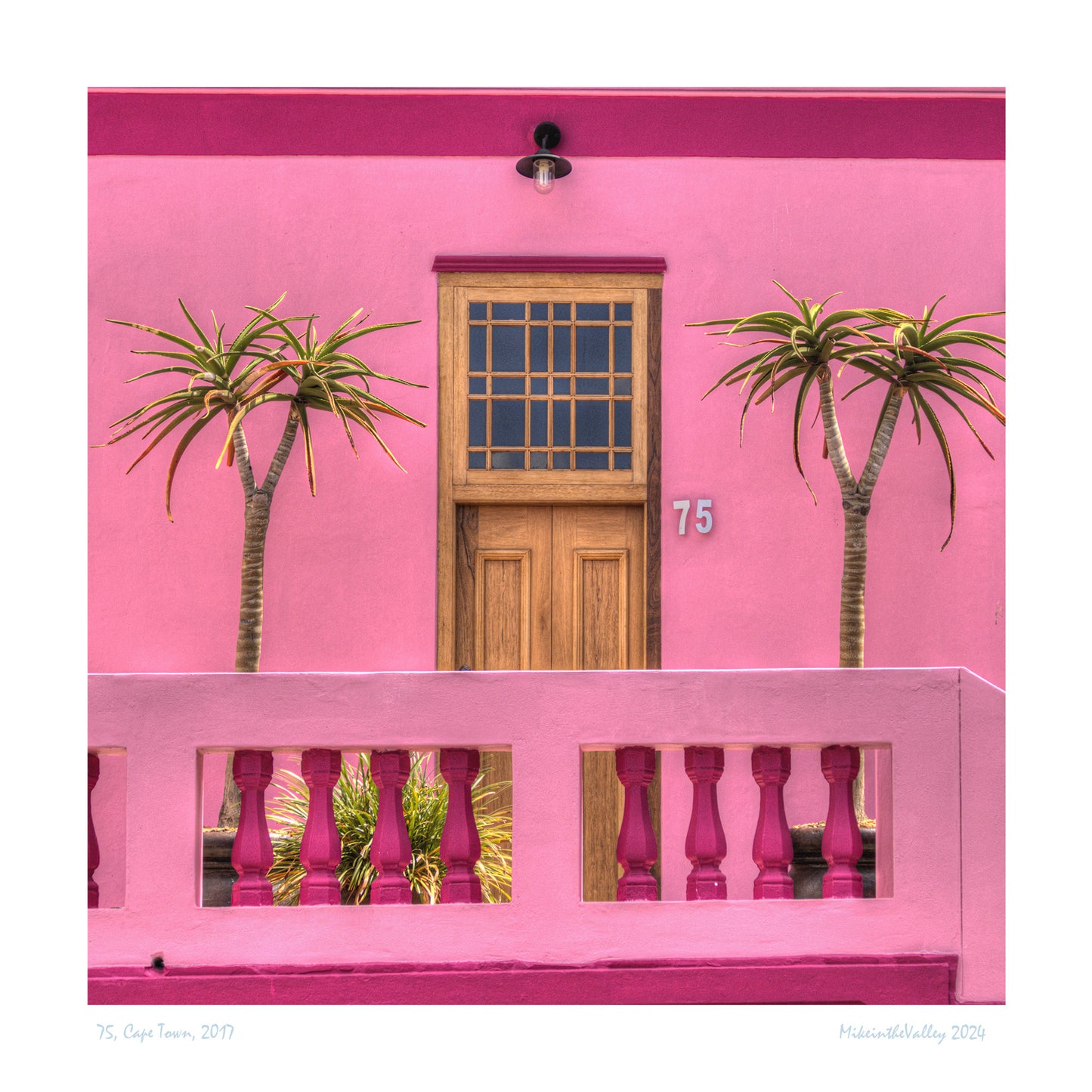 schöne Haustür aus Holz in einer pinkfarbenen Hauswand. Rechts und links davon jeweils eine Palme.