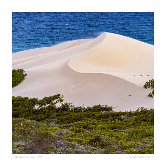 Im Vordergrund die für Südafrika typischen Fynbos-Heide. Eine große Sanddüne windet sich hin zum Indischen Ozean im Hintergrund.